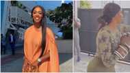 She wan go war, wetin concern Wizkid with gym: Hilarious reactions as Tiwa Savage starts boxing training