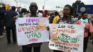 What Nigerian students should do as ASUU strike enters 194th day