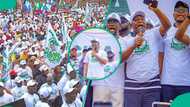 Bayan Tinubu Must Go, ƴan APC sun bullo da Tinubu Must Go Again a Adamawa