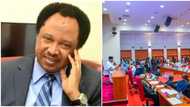 Akpabio’s blunder: Shehu Sani reveals how legislators' accounts are credited