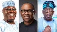 Nigeria 2023 presidency: Emulate Jonathan, concede defeat, Tinubu tells Atiku, Obi