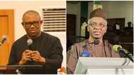 "Even I was detained": Peter Obi reacts to El-Rufai's allegation, confesses his 'sin'