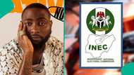 Edo 2024: Davido triggers backlash with rants over vote buying, "When our mumu go do?"