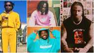 Fireboy beats Asake, Lil Kesh as fans vote for their favourite YBNL star in honour of Olamide’s 34th birthday