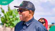 Is Peter Obi stingy? Analyst cites evidence amid ‘I no dey give shishi’ reputation