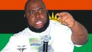 Asari Dokubo yayi wa Nnamdi Kanu fallasa, ya bayyana makuden kudin da yake waskarwa