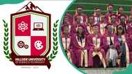 Hillside University courses, admission requirements and application procedure