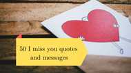 Top 50 I miss you quotes and messages that will melt the heart of your better half