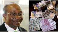 BDCs react to CBN redesign policies as three banknotes face extinction in 70 days