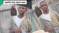 Nigerian boy domesticates 'hawk', trains bird at home as pet and carries it around on his shoulder