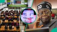 Tinubu’s economic reforms trigger massive wealth creation, produce 900,000 millionaires, NGX says