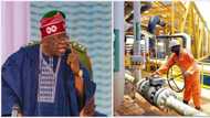 Nigeria reclaims position as Africa's leading oil producer, President Bola Tinubu promises reforms
