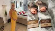 "A rare feat": At 53, woman finally gives birth, delivers twin boy and girl