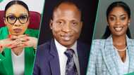 Nnaji, Alaje, other experts proffer solutions to Nigeria's Forex crisis on Legit.ng X Space