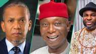 Tribunal, Appeal Court judgment: List of Delta senators who have emerged victorious