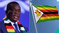 Zimbabwe states how many years foreigners must live in country before applying for citizenship