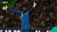 Francis Uzoho shuts Nigerians up with brilliant performance after making 28-man list for AFCON 2025