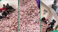 "That money is more than N10 million": Video shows Nigerian boys in room filled with cash