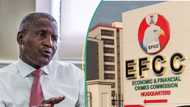 Dattawan Kano sun magantu kan samamen EFCC a ofishin Dangote, sun fadi abin da hakan ke nufi