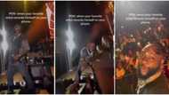 "OBO or nobody": Lady goes gaga as Davido collects her phone, records self at concert, clip trends