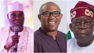 Atiku or Peter Obi: Who will take over from Buhari on May 29 if Supreme Court sacks Tinubu? Lawyer speaks