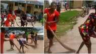 Drama as non-teaching staff sweep main gate of Delta Polytechnic to celebrate exit of rector, video stuns many