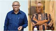 "A respected leader": Atiku greets Peter Obi as he adds another year