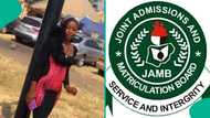 2026 JAMB: Lady with score many would cry over goes viral after celebrating her result, many react