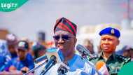 Did Edo govt sell 14,000 hectares of land to 17-year-old boy? fresh facts emerge