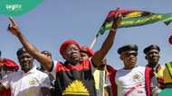 Biafra heroes day: Security operatives kill suspected IPOB member in Anambra, details, photos emerge