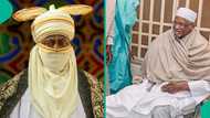 Dethroned Kano emir Bayero to lead prayers at Aminu Dantata’s burial in Saudi Arabia