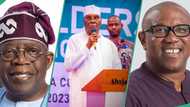 2027: "End of Tinubu's reign is near": PDP bigwig declares as Atiku, Obi meet for possible alliance