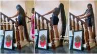 "I'll need 100 years": Young lady shows off her long natural hair that reaches her feet, video shocks women