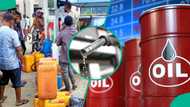 N1,300/litre: Marketers, filling stations maintain high petrol rates despite crude oil price drop