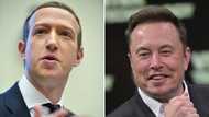 Musk says cage fight with Zuckerberg will be in Italy