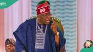 "Health is back on front burner”: Tinubu appeals to Nigerian doctors abroad to return
