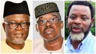 Ekiti 2022 governorship election: Top 5 candidates contesting on Saturday, June 18