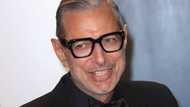 Jeff Goldblum biography: Age, height, wife, kids, net worth