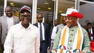 PDP Crisis: Hope beacons as Atiku, Wike's camps meet, details emerge
