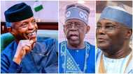 Atiku’s emergence: Ex-minister reveals why APC must field Tinubu, urges Osinbajo, Fayemi, others to step down