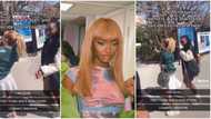 “She go find out later”: Young lady plays along after oyinbo fan mistook her for Ayra Starr, funny clip trends