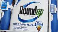 Bayer sets aside more cash to deal with weedkiller woes