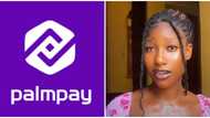 Which Fintech apps can you trust in Nigeria? PalmPay user shares inspiring and rewarding experience
