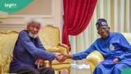 Afenifere applauds Tinubu for naming FCT highway after Soyinka: "It's better late than never"
