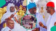 Ooni of Ife marks 10th coronation anniversary in style, video of his giant cake leaves many talking