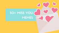 50+ miss you meme templates to send to your significant other