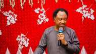 Former senator Shehu Sani finally dumps PRP, gives no reason