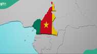 Cameroon lists African countries whose citizens can visit without visa