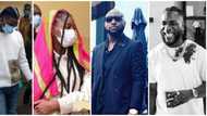 Nigerian artists react to arrest of Omah Lay and Tems in Uganda, call for their release