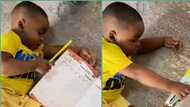 "Life na small small": Tired little boy closes assignment book, walks away in video, people react
